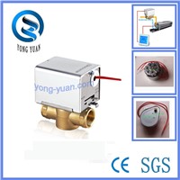 Experienced Manufacturer of Motorized Valve for Heating and Cold (BS-828)
