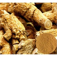 AMERICAN GINSENG EXTRACT