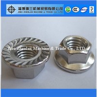 DIN6923 stainless steel M5-M20 hex flange nut