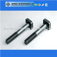 High strength A4-80 Stainless Steel square head T bolt