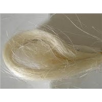 Coconut fiber/Sisal Fiber
