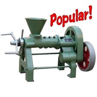 200kg per hour peanut screw oil press machine