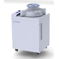 Vertical autoclave pressure steam sterilizer
