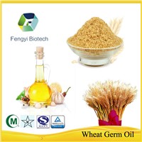 Wholesale Bulk Natural Organic Refined Vitamin E Triticum Vulgare Wheat Germ Oil