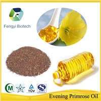 Wholesale Bulk Refined Organic Efamol Evening Primrose Oil (EPO)