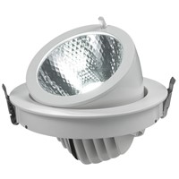 40W COB LED Trunk Down Light/LED Indoor Lighting Fixtures -E