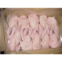 Brazilian Quality Halal Frozen Whole Chicken,Gizzards / Thighs / Feet / Paws / Drumsticks