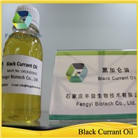 Cold Pressed Natural Organic Extract Blackcurrant Oil / Black Currant Oil