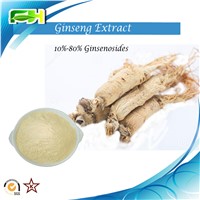 Factory Supply Ginseng extract Ginsenosides