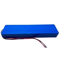 48V 20Ah 26650 LIFEPO4 battery pack with BMS,balance charging
