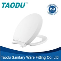 TD-369 -- toilet seat with integrated bidet