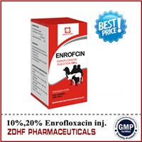 10% Enrofloxacin  injection
