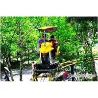 2017 New Design Hot Selling Air Bike for Theme Parks Space Walk