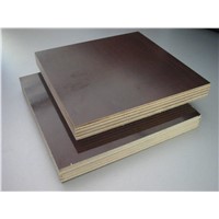 Poplar plywood with MR glue size 1220x2440x12/15/18mm