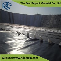 Polyethylene Waterproofing Membrane Geo Membrane for Dam or Water Tank