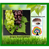 grape seed extract
