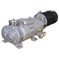 LGB Series Variable Pitch Screw Dry Vacuum Pump