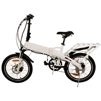 250w Electric Bicycle