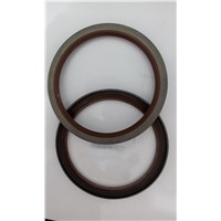 high quality Oil Seal 0734319643 with 132-160-10 in hot selling