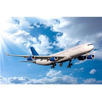 Global air freight forwarder for fasting air cargo freight