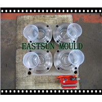 high speed injection plastic mould