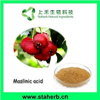Hawthorn extract Maslinic acid