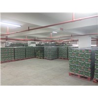 Heineken Beer
