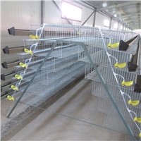Industrial Battery Quail Laying Cage Net