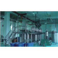 SFE Supercritical CO2 Fluid Extracting Device