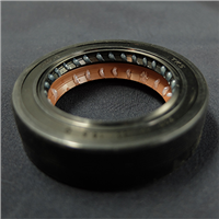 High performance Viton Rubber Oil Seal For Machine/Mechanical Parts