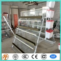 A Type 3 Tiers, 4 Tiers 96,120,160 Chicken Automatic Laying Hen Used Poultry Cage