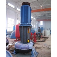 WL Vertical Sewage Pumps