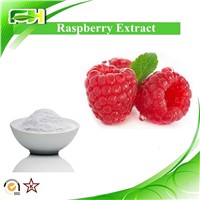 Raspberry Extract Raspberry Ketone