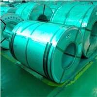 Best Quality Galvanized Steel Coil (DX51D)