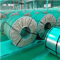 Commercial Use Galvanized Steel Coil (Inexpensive Price)