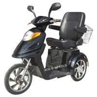500W48V Electric Tricycle for Disabled or Old People (TC-015)