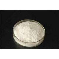 Hot Sell Pharm Grade Glucosamine USP grade