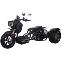 MADDOG 50cc Motor Trike PST50-19N Price 500usd