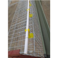 A type 4-Tier Chicken Layer Poultry Battery Cage