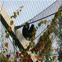 High Strength X-Tend Inox Aviary Netting, Zoo Animal Fence