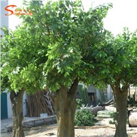 Artificial Ficus Tree Banyan Tree Artificial Plant for garden decoration