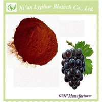 GMP Manufacturer Natural 95% Grade Seed Extract