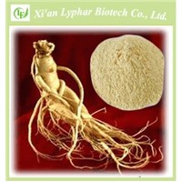 ISO&GMP Top Quality Ginseng Root Extract