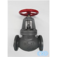 JIS marine cast steel strew-down check  globe valve 5K F7311C