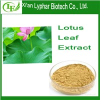 Manufacturer Supply Lotus Leaf Extract