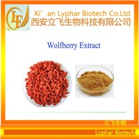 Wolfberry Fruit Extract