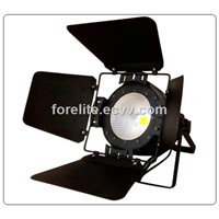 100W Indoor LED Par Light