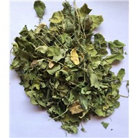 Dry Moringa Oleifera leaf,Moringa leaf,Moringa leaf extract powder