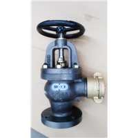 JIS F7333B marine cast iron hose valves
