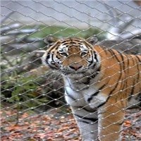 Flexible X-Tend Wire Rope Mesh Fence for Zoo Park